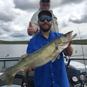 Meet your Posher, Brady